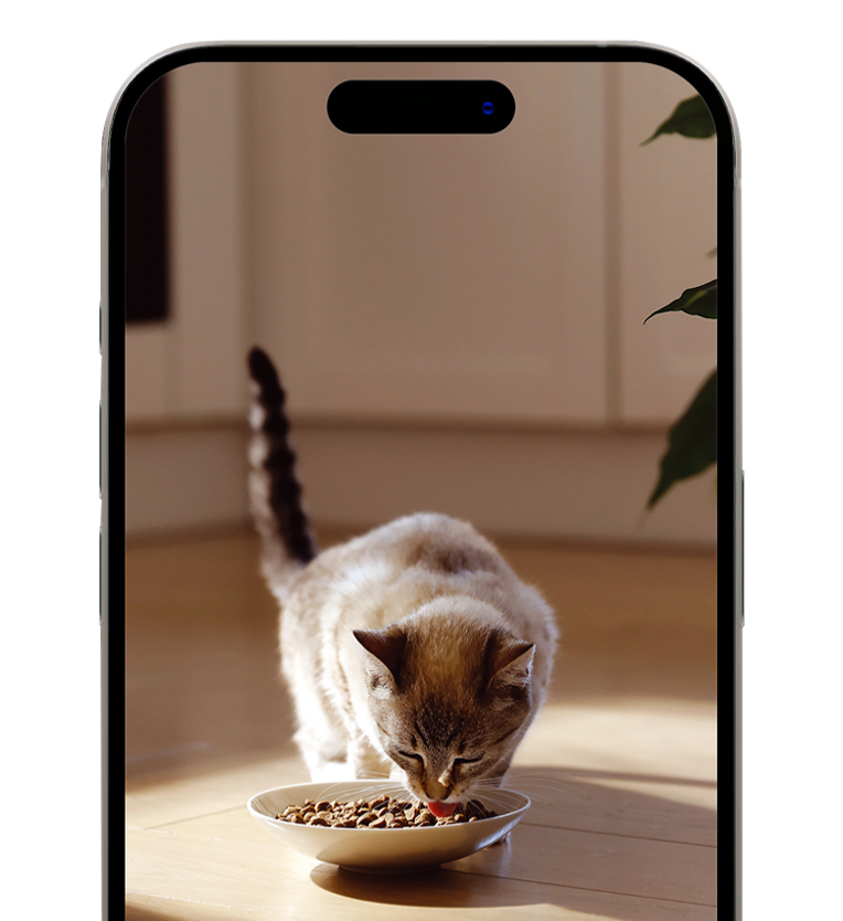 TEMPLATE_ASSETS_BESTCASE8-Jan-30-2025-09-06-05-9178-AM